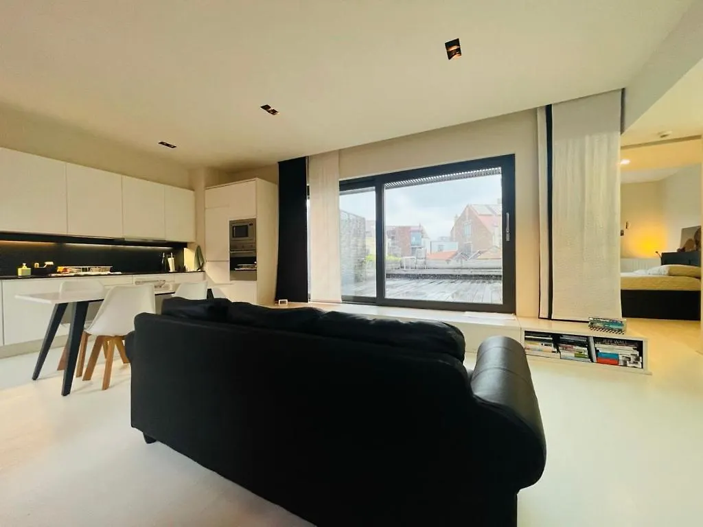 Down Town Penthouse With Private Parking Apartment Brussels