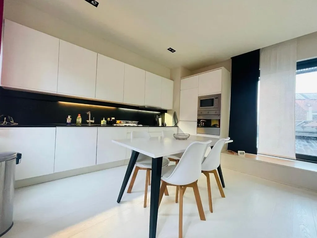 Down Town Penthouse With Private Parking Apartment Brussels Belgium