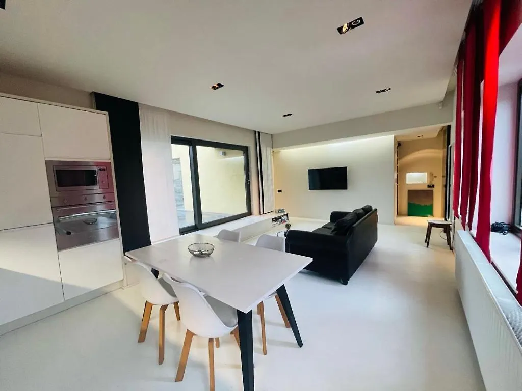 Down Town Penthouse With Private Parking location